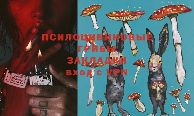 Псилоцибиновые грибы Magic Shrooms  Чухлома 